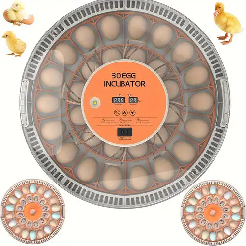 Couveuse automatique 30 oeufs Pro