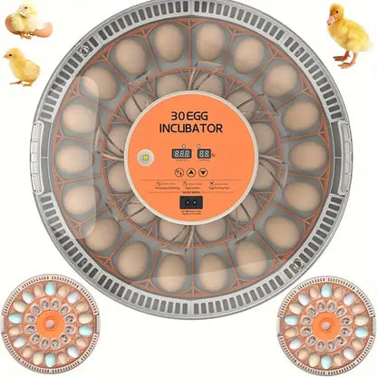 Couveuse automatique 30 oeufs Pro