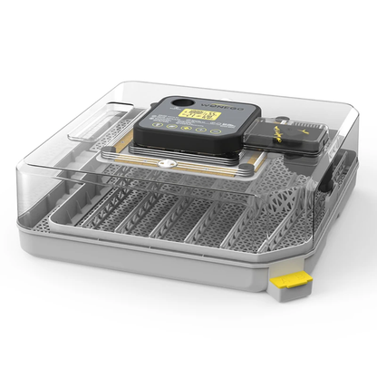 couveuse automatique 48 oeufs Pro