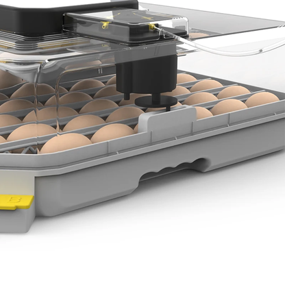couveuse automatique 48 oeufs Pro