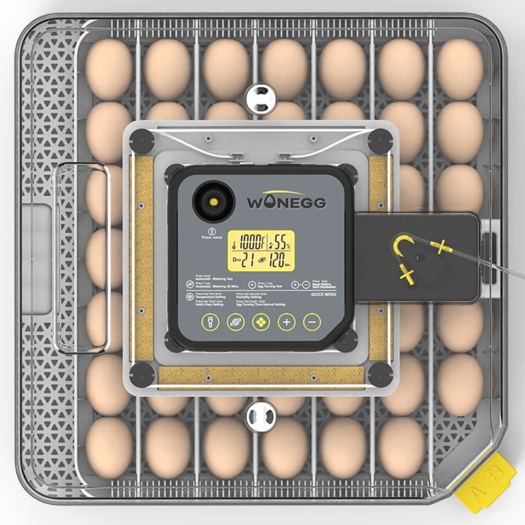 couveuse automatique 48 oeufs Pro