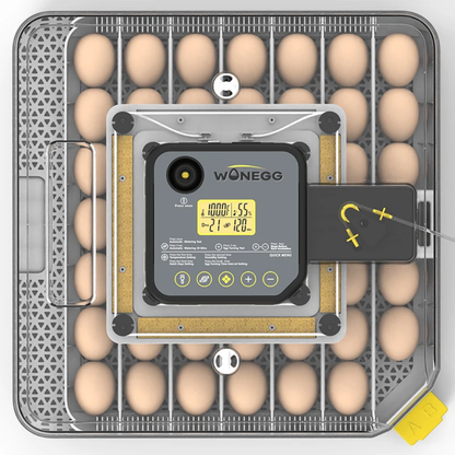 couveuse automatique 48 oeufs Pro