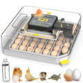 couveuse automatique 48 oeufs Pro