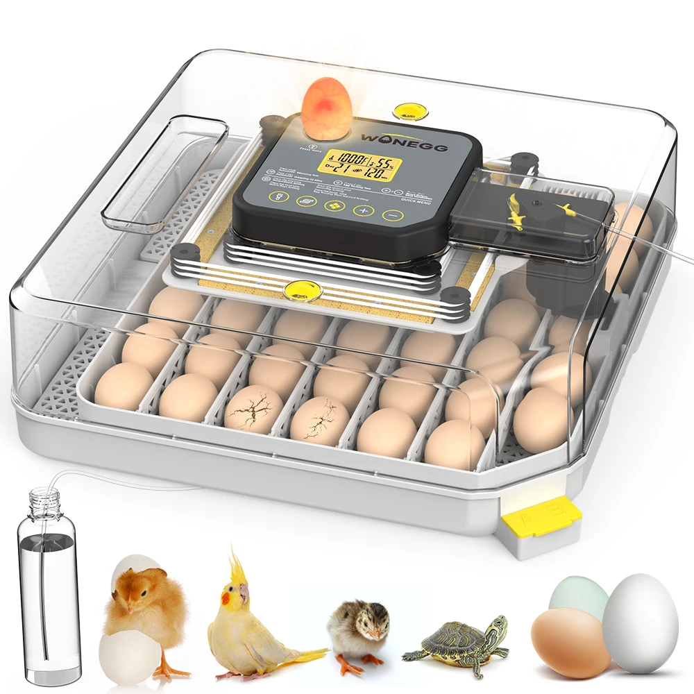 couveuse automatique 48 oeufs Pro