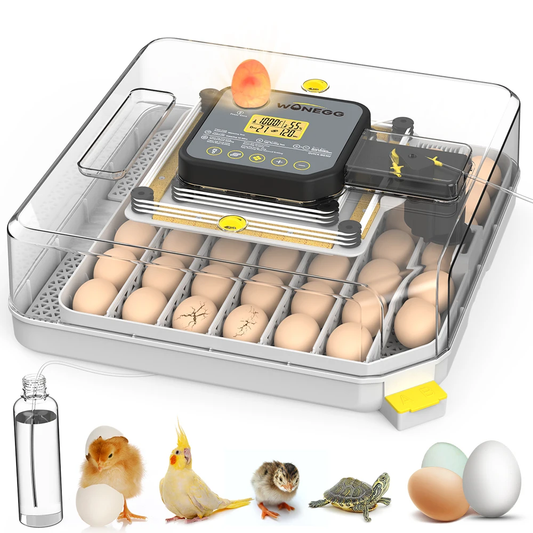 couveuse automatique 48 oeufs Pro