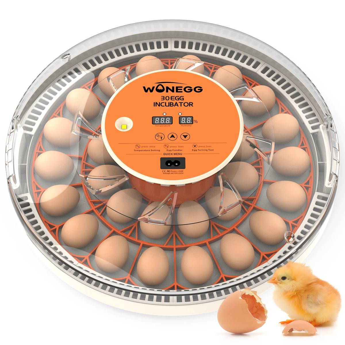 Couveuse automatique 30 oeufs Pro