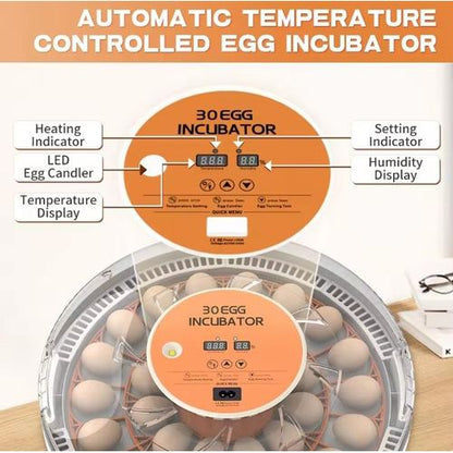 Couveuse automatique 30 oeufs Pro