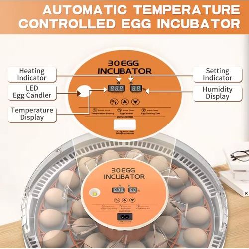 Couveuse automatique 30 oeufs Pro