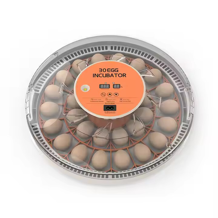 Couveuse automatique 30 oeufs Pro