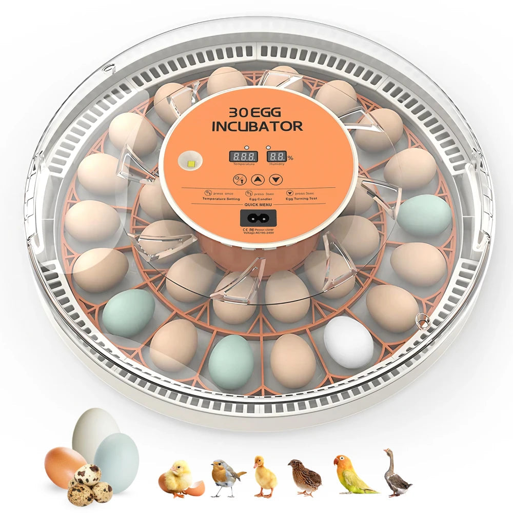 Couveuse automatique 30 oeufs Pro