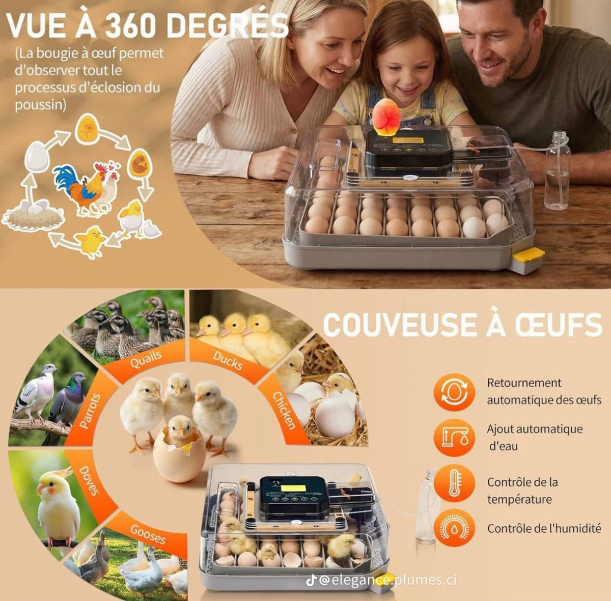 couveuse automatique 48 oeufs Pro