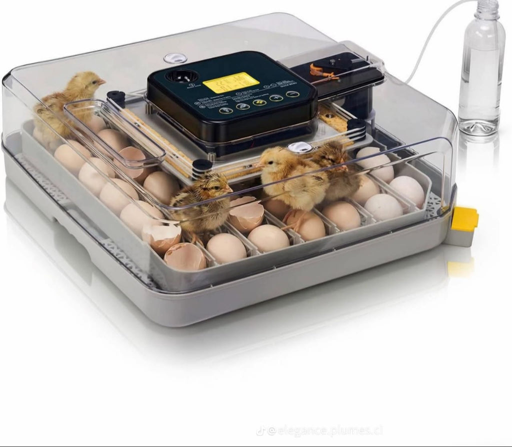 couveuse automatique 48 oeufs Pro