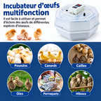 couveuse manuellle de 60 oeufs