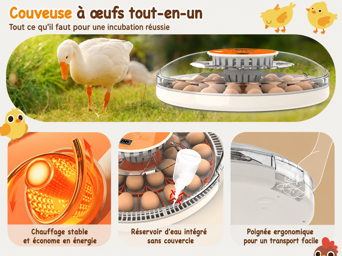 Couveuse automatique 30 oeufs Pro