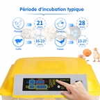 couveuse automatique 112 œufs