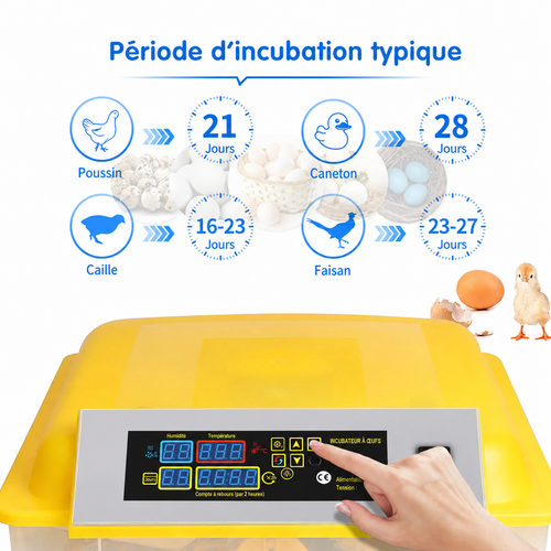 couveuse automatique 112 œufs